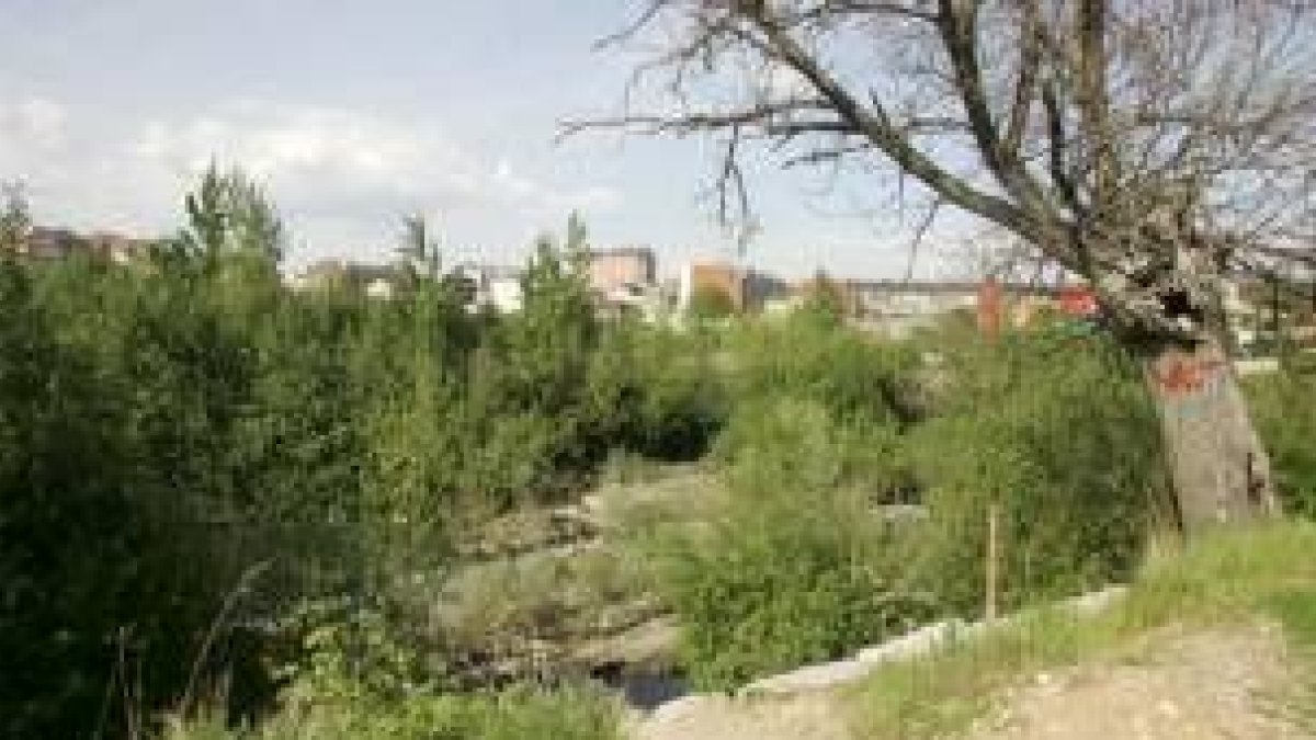 L. DE LA MATA