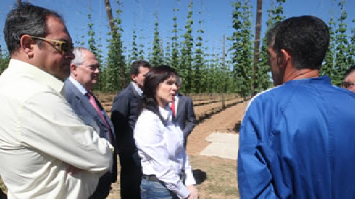 La consejera de Agricultura y Ganadería, Silvia Clemente.
