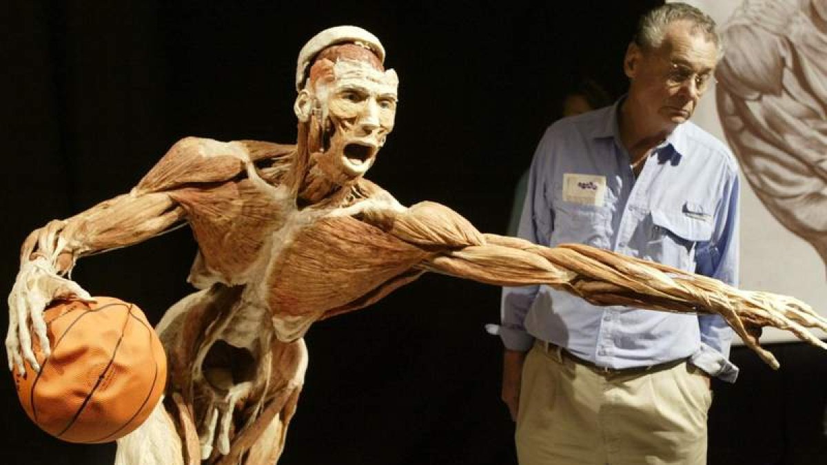 La exposición ‘Body Worlds’ muestra tejidos humanos inyectados con plástico para su preservación. ARMANDO ARORIZO