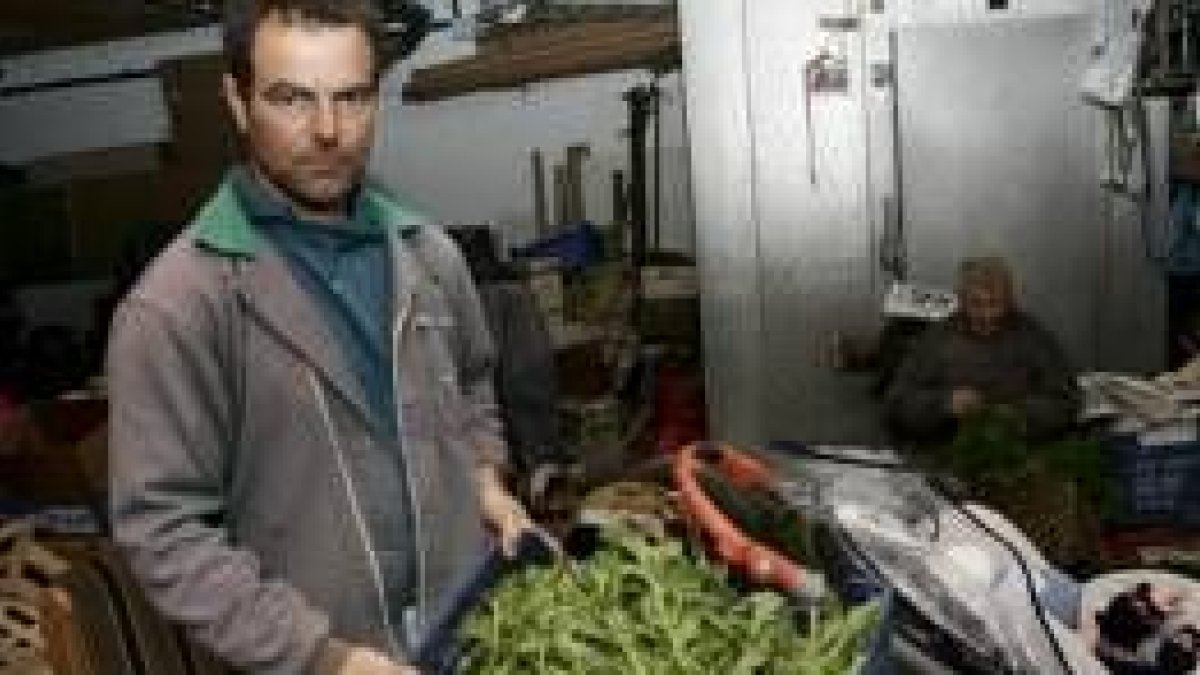 Argimiro Prieto Melón muestra el perejil chino, que Candelas agrupa, al fondo, en vistosos manojos