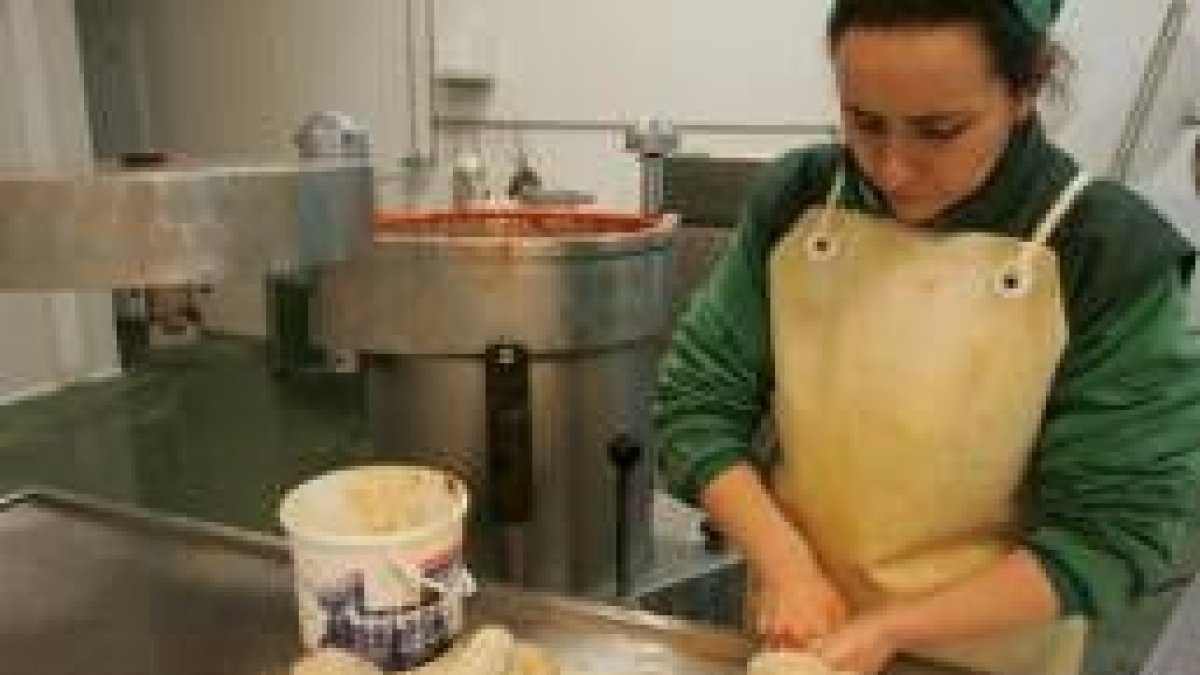 Una mujer extranjera recibe formación en un curso de carnicería en el Ildefe