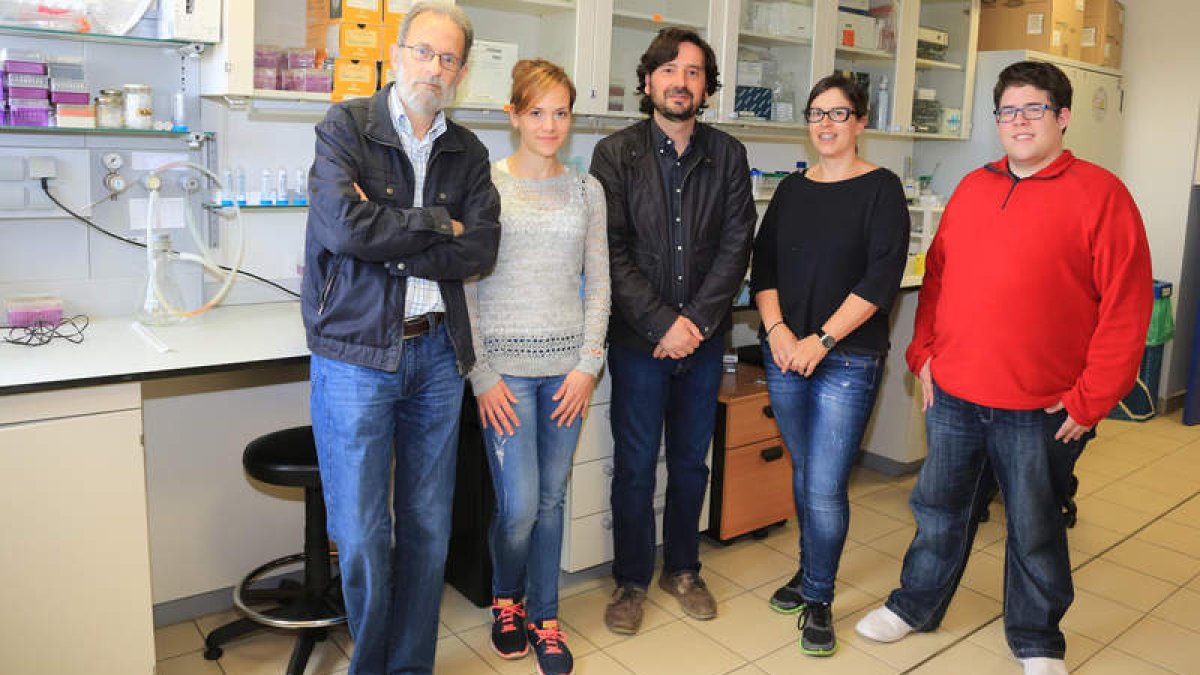 Javier Gallego, Raquel Ordóñez, José  Luis Mauriz, Anna Fernández y Néstor Priego, el equipo de investigación de León.