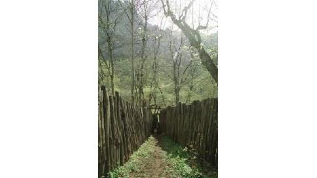 El chorco, una trampa que se empleaba para cazar lobos, cerca de Caín