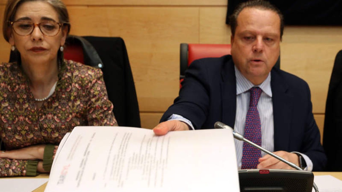 Mario Amilivia ante la Comisión de las Cortes para presentar la memoria del Consultivo. RUBÉN CACHO