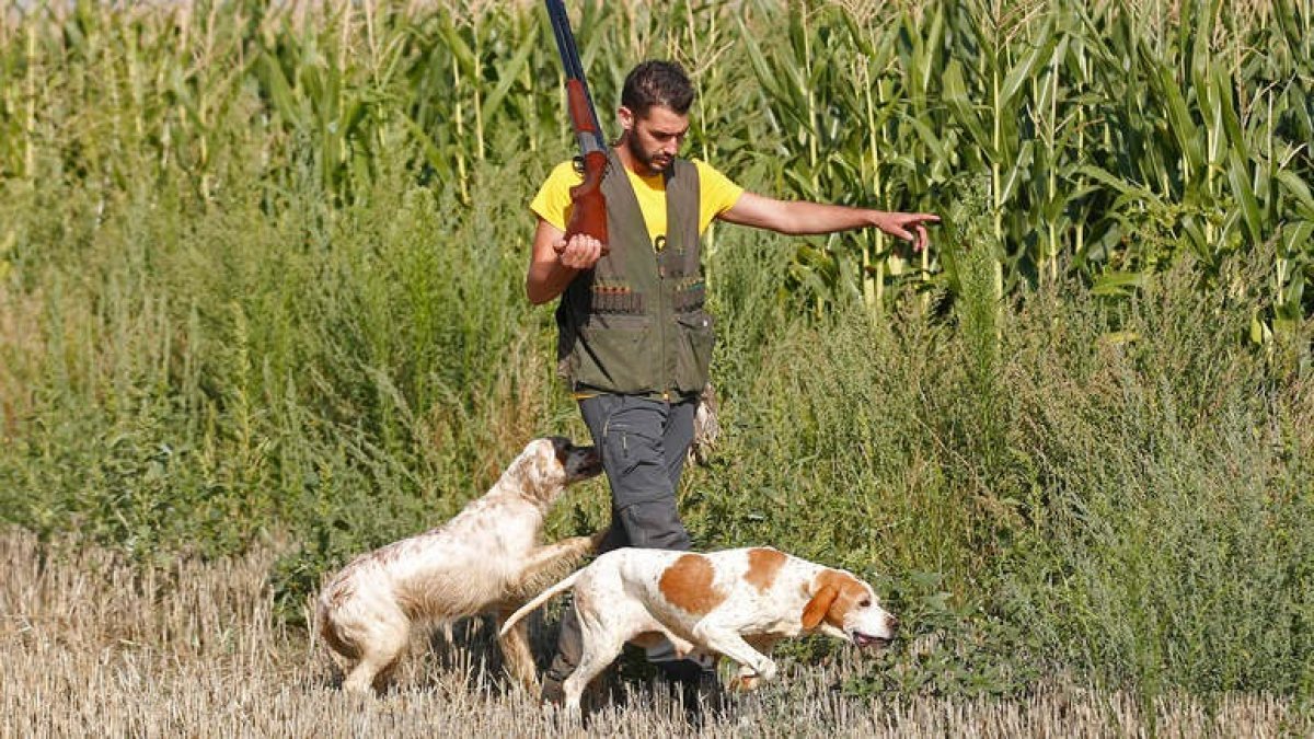 Borja Llamazares en un momento de su jornada de caza junto a sus dos perros. FERNANDO OTERO