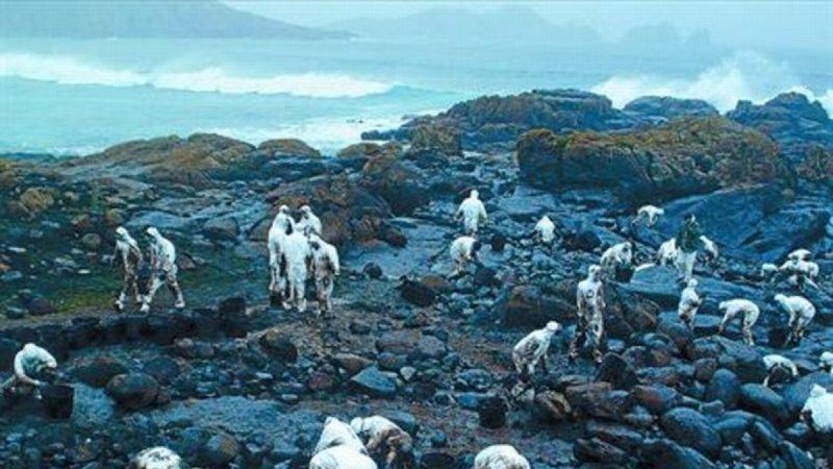 La batalla 8 Tareas de limpieza del chapapote en la playa de Reira, en Camariñas (A Coruña), en el 2002.