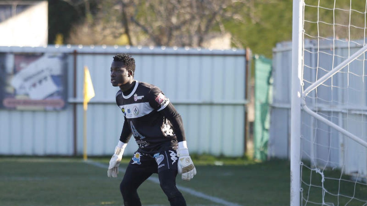 Samuel Diarra es ya el portero que más minutos está imbatido en el equipo astorgano. F. OTERO PERANDONES