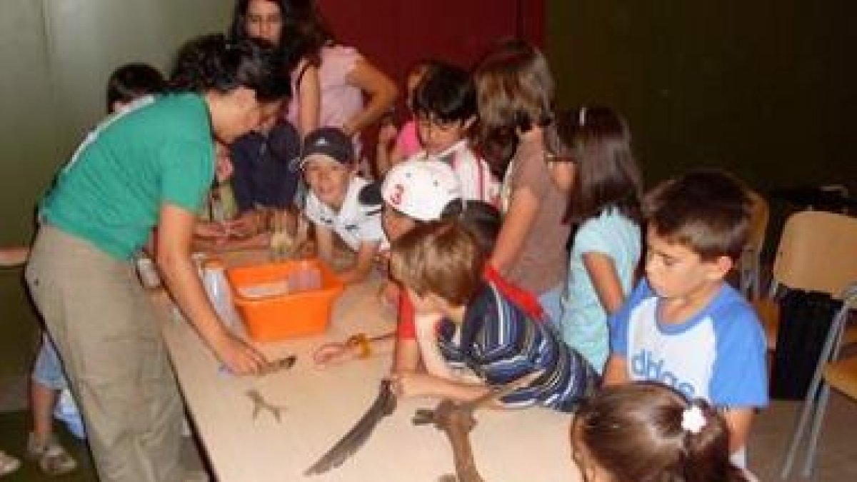 Un momento de los talleres de huellas y rastros organizado en Polvoredo.
