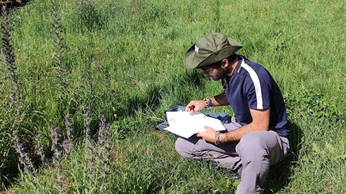 Las labores de campo consisten en la toma de muestras. DL