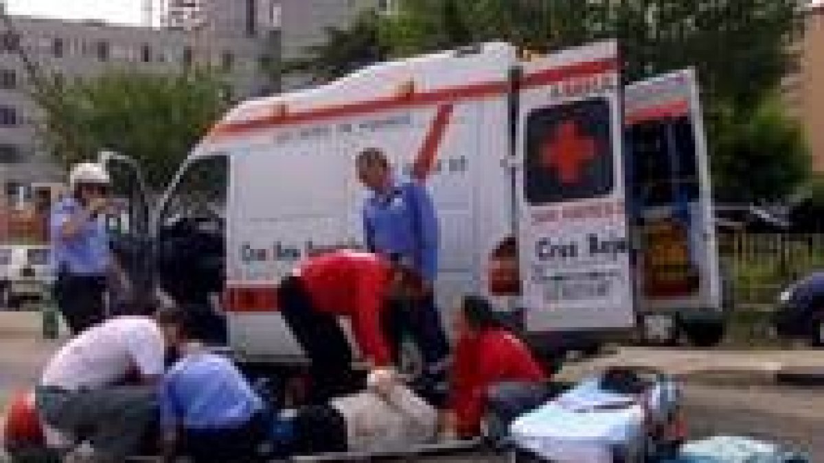 El mayor número de atropellos se produce porque los conductores no respetan las señales de tráfico