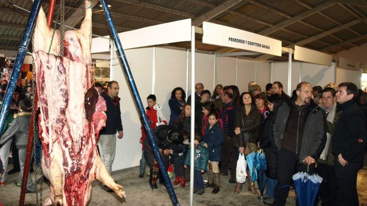 La subasta del gocho causó mucha expectación entre el público asistente a la feria.