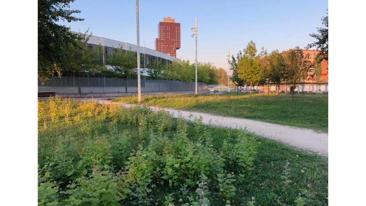 Aspecto de los jardines del barrio de La Rosaleda. PP