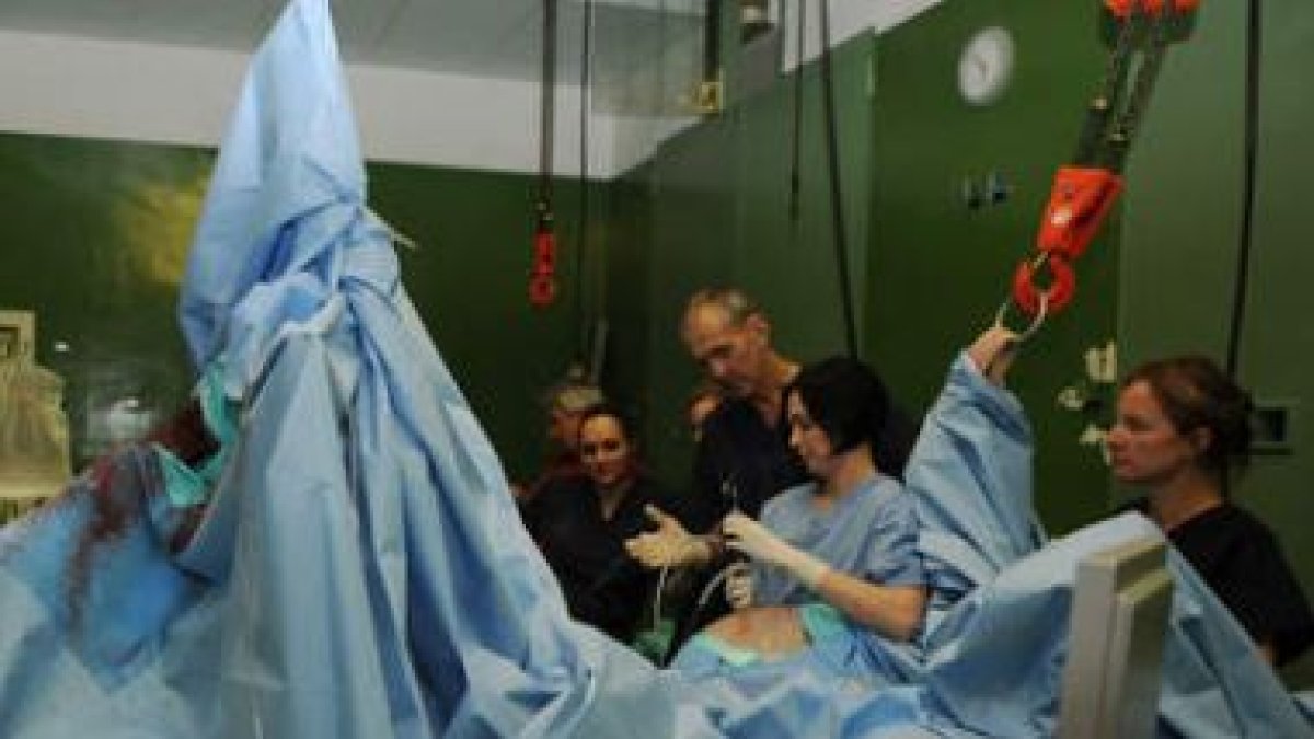 Una intervención quirúrgica en el hospital veterinario de Castilla y León.