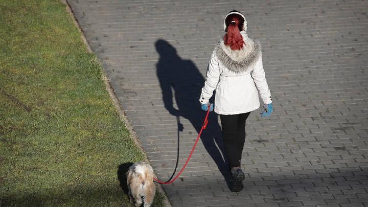 Una mujer pasea con su perro