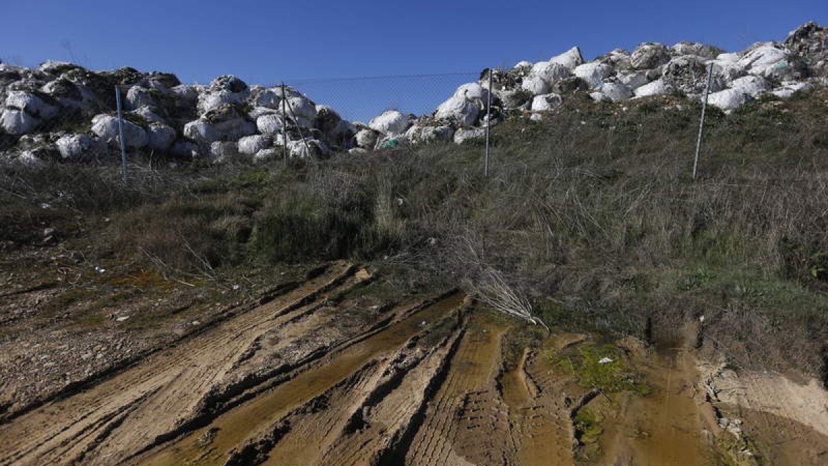 Tras diez años esperando su eliminación, la vegetación camufla en algunos puntos los fardos de basura de El Busto.