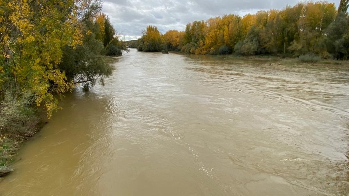 En algunos puntos el caudal sobrepasa los 266 metros cúbicos por segundo con un nivel que supera los 1,60 metros. RAMIRO
