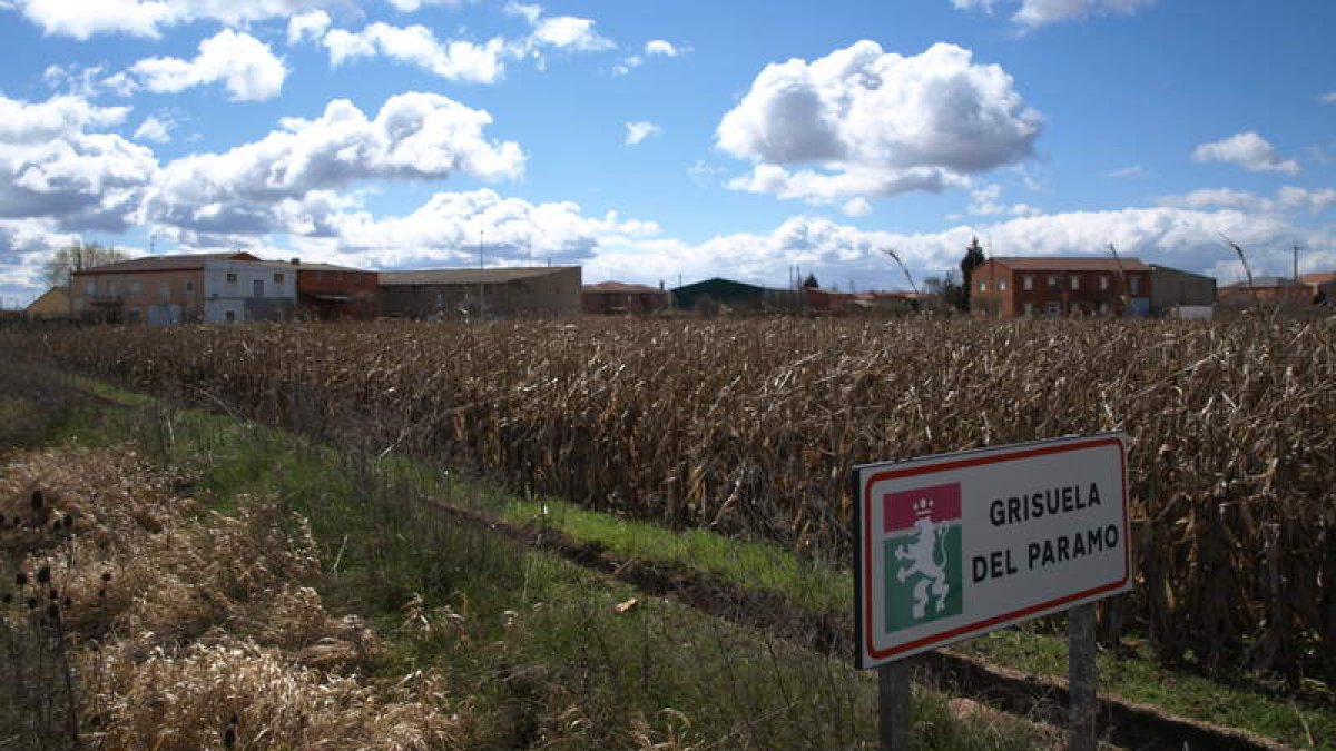 Imagen de la localidad de Grisuela del Páramo, perteneciente al municipio de Bustillo.
