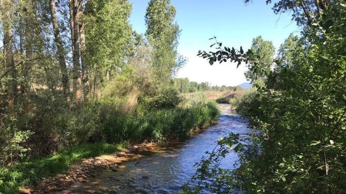La Confederación Hidrográfica del Duero apuesta por un modelo comprometido con el futuro. DL