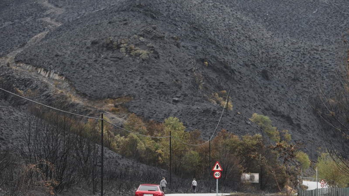 El fuego arrasó el monte entero, según se aprecia desde la carretera próxima a Paradela. ANA F. BARREDO
