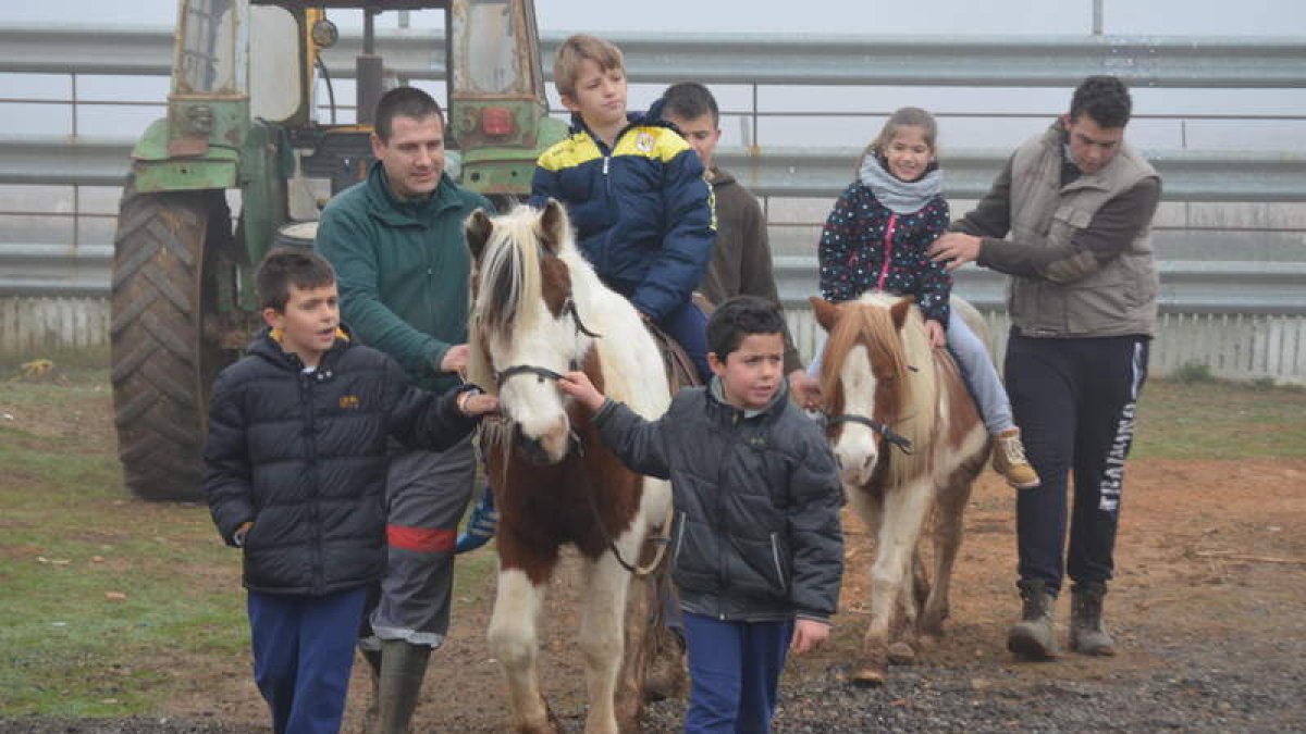 Los niños montaron en caballos enanos. MEDINA
