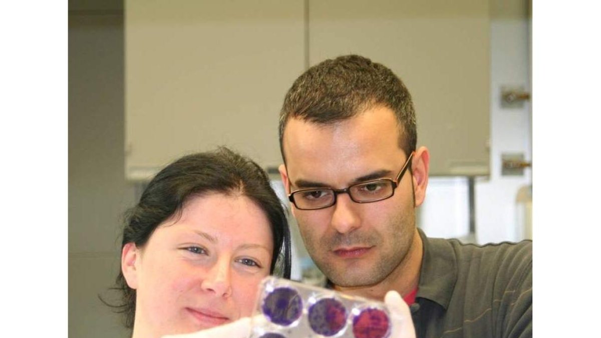 Investigadores del IRB de Barcelona con una muestra usada en el estudio del ácido palmítico. irb