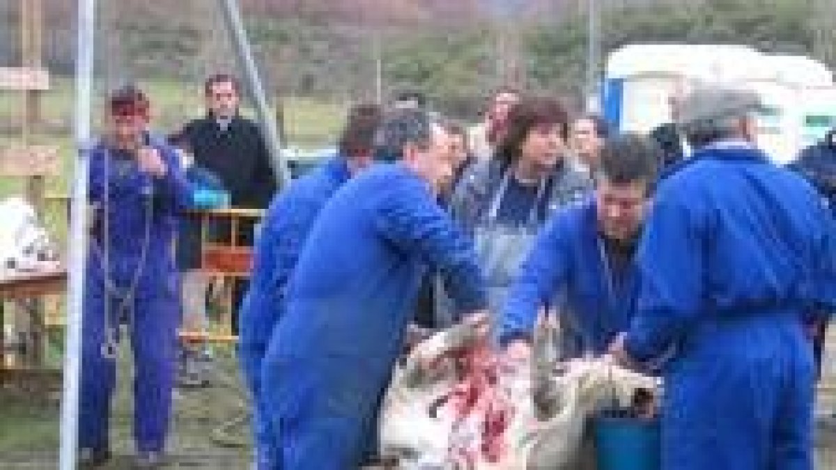 Los matarifes mostraron el estilo propio de la matanza