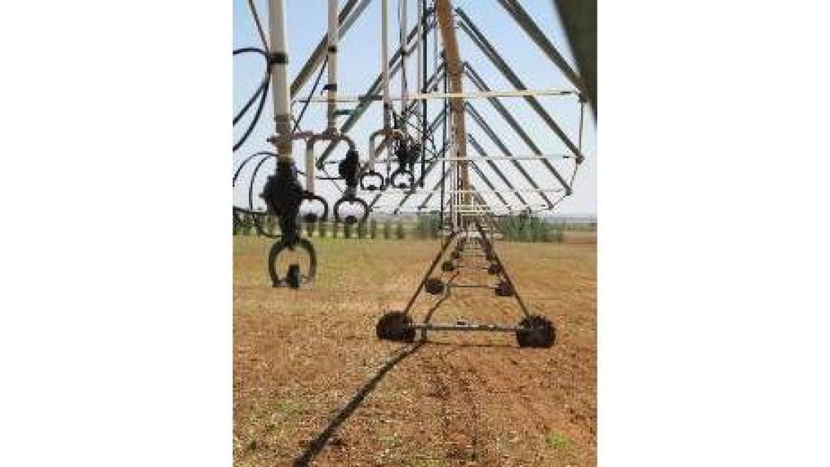 Estructura de riego en una finca del sur de León, que se transformará con el canal Bajo