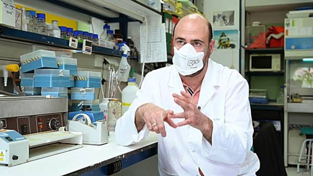 Investigadores del CNB ensayarán con animales el candidato a vacuna frente a COVID la próxima semana. EFE