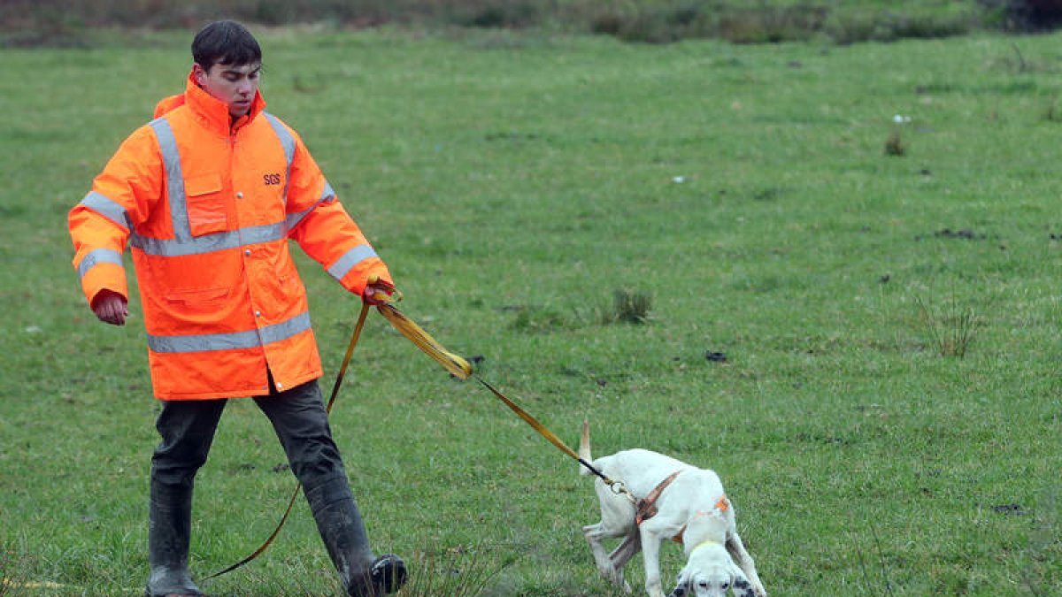 Los perros siguieron rastros en la zona del Brazal de Abajo. ANA F. BARREDO