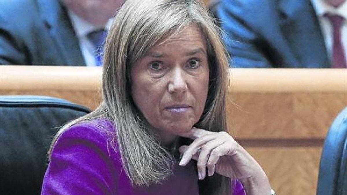a ministra de Sanidad, Ana Mato.
