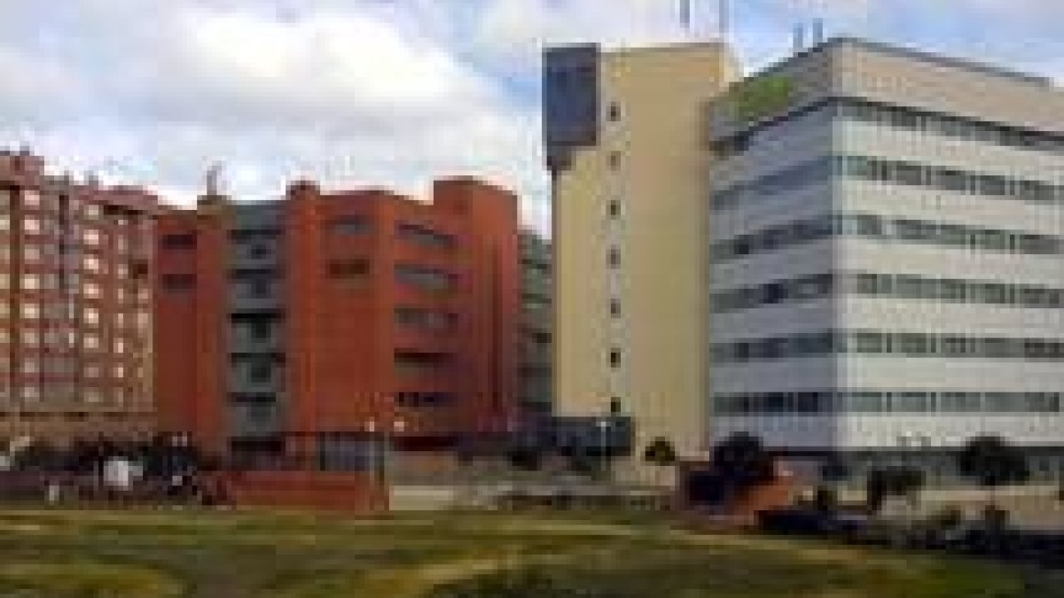 Vista de la parcela 41 del Polígono 10, donde el Ayuntamiento propone la edificación del complejo