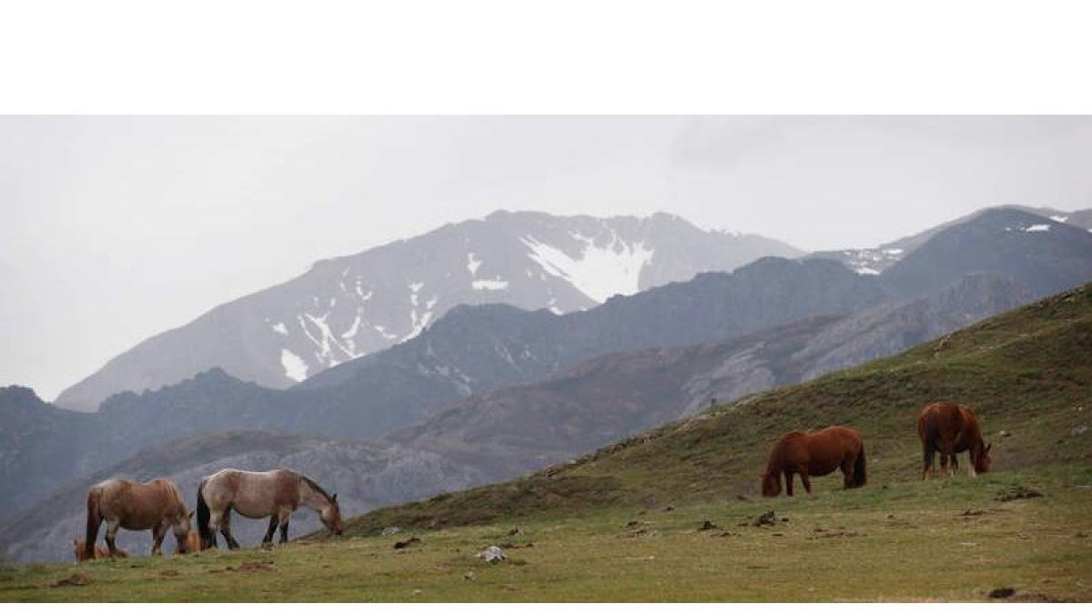 Paraje de San Emiliano, en la Reserva de la Biosfera de Babia. JESÚS F. SALVADORES