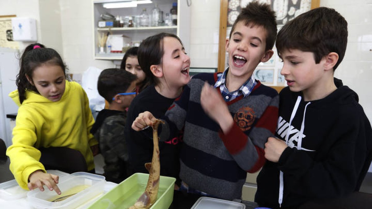 ciencia1