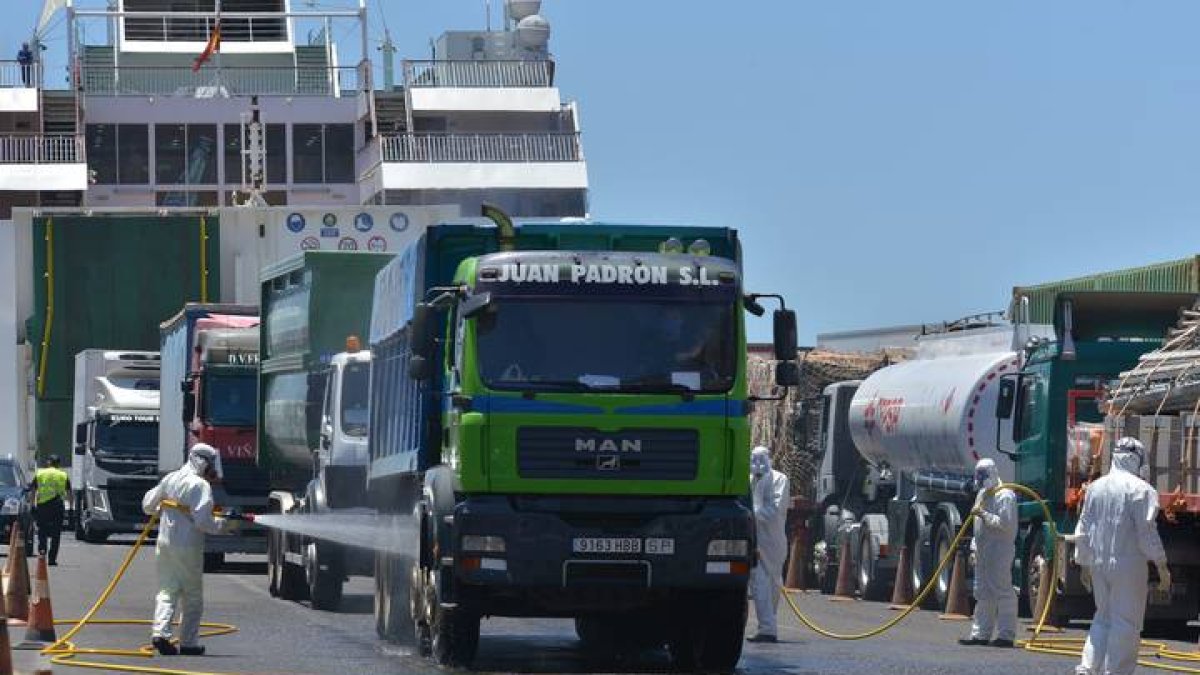 Agentes de la Guardia Civil y operarios del Cabildo de El Hierro realizan labores de control y desinfección. GELMERT FINOL