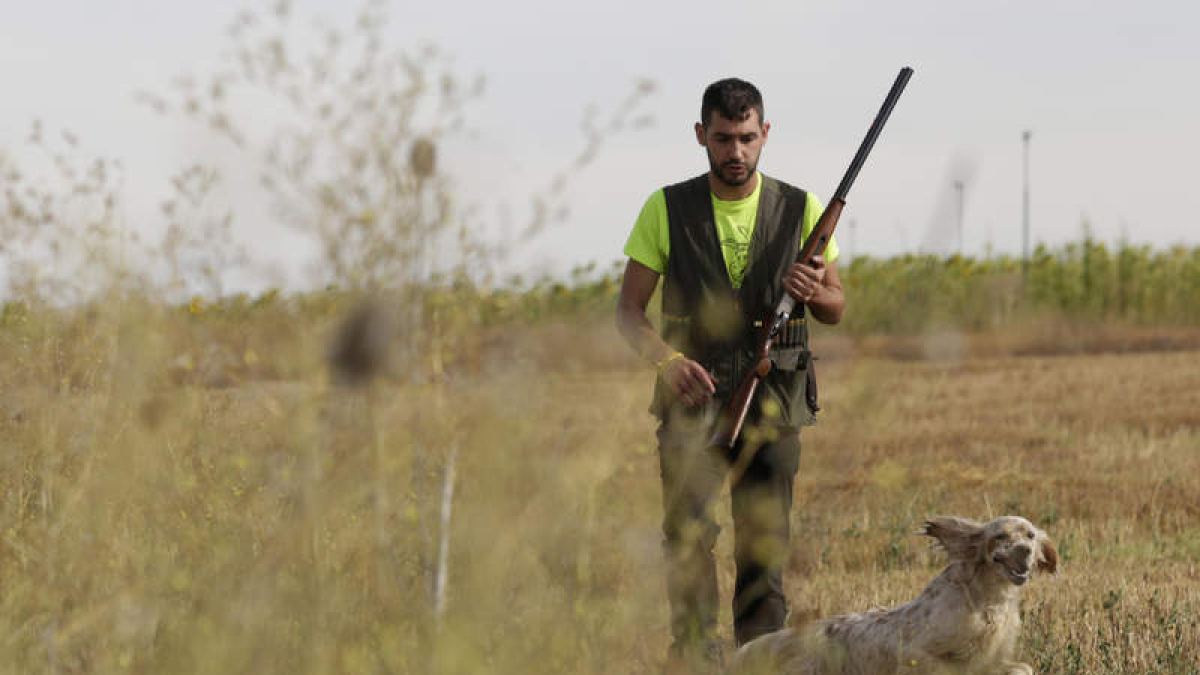 Un cazador con su perro en una jornada de la media veda en el campo leonés. FERNANDO OTERO