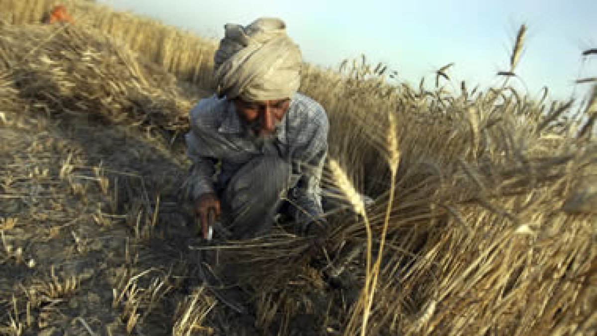 RAMINDER PAL SINGH