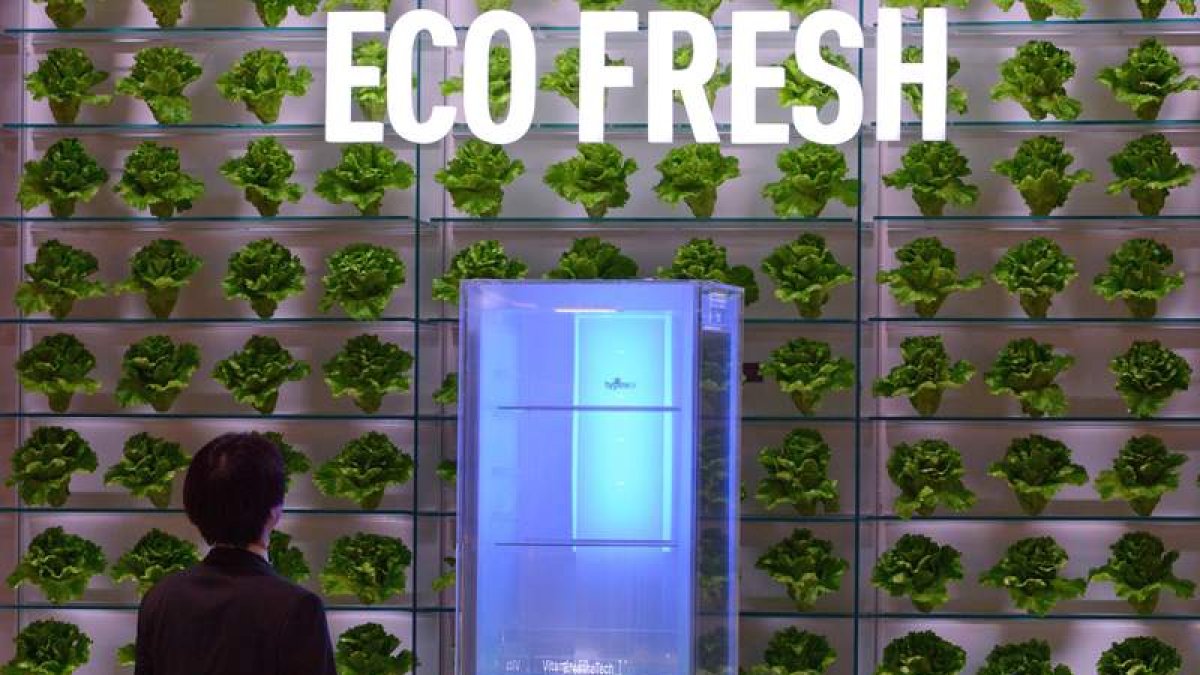 Presentación de un refrigerador ecológico en la feria de Berlín celebrada en septiembre de este año. RAINER HENSEN