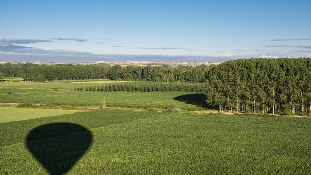 Campo de maíz en León vistos desde u globo