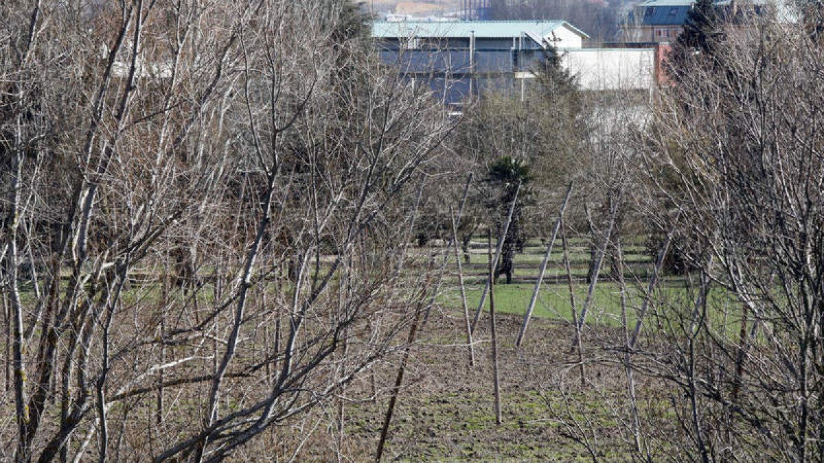El IBI afectaba a los terrenos calificados como rústica de la escuela de Agrícolas de la Universidad de León. MARCIANO PÉREZ