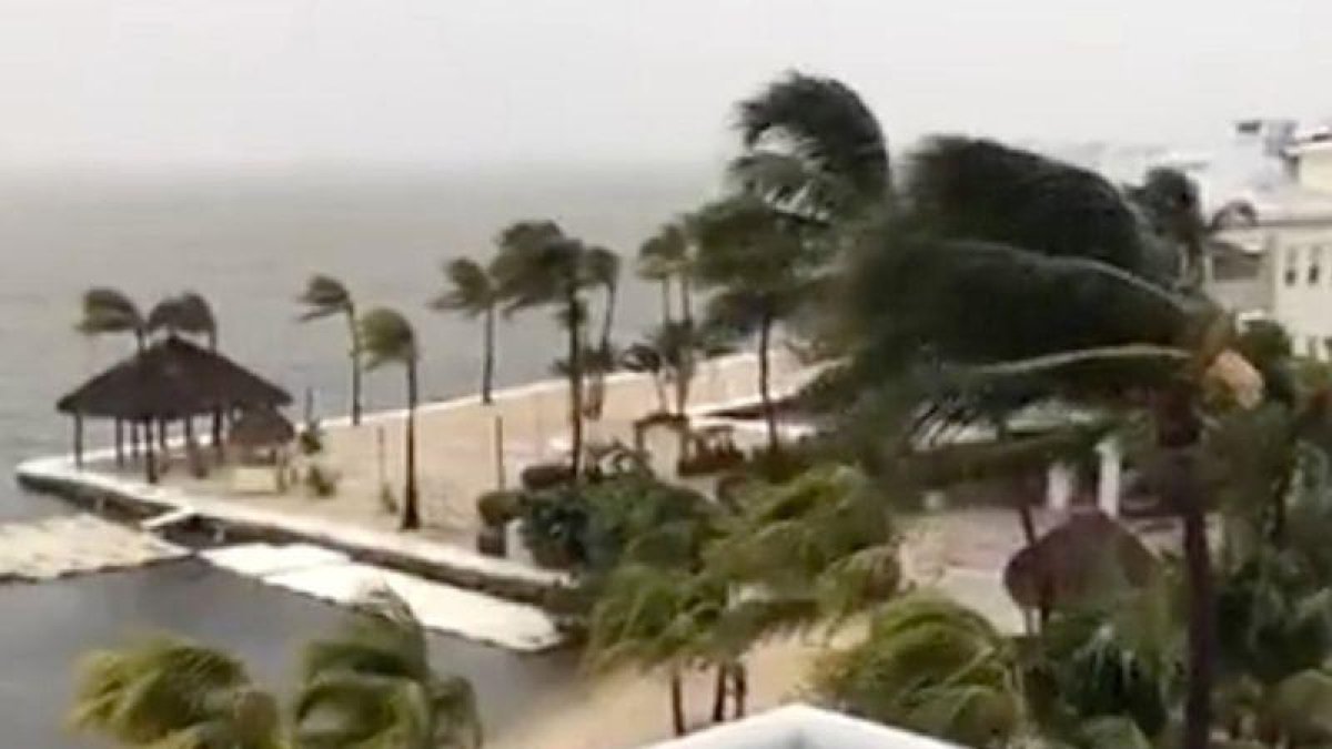 Palmeras balanceándose en Cayo Largo, Florida, como consecuencia del fuerte viento originado por el huracán Irma, en una imagen tomada del Facebook de Laura Kushner Gibson.
