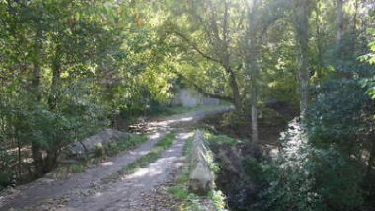 El proyecto Trino contempla la señalización de rutas ornitológicas en el Bierzo.