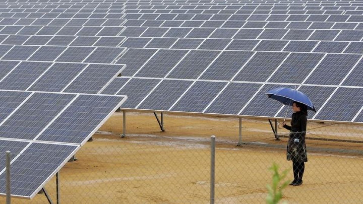 Amazon se lanza en España a la generación de energías renovables con dos plantas en Aragón y Palencia. EFE