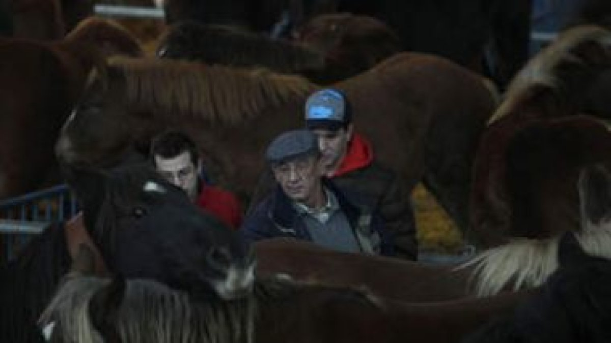 Los potros llenaron los corrales, en los que abundaron caballos de carne por encima de los de monta