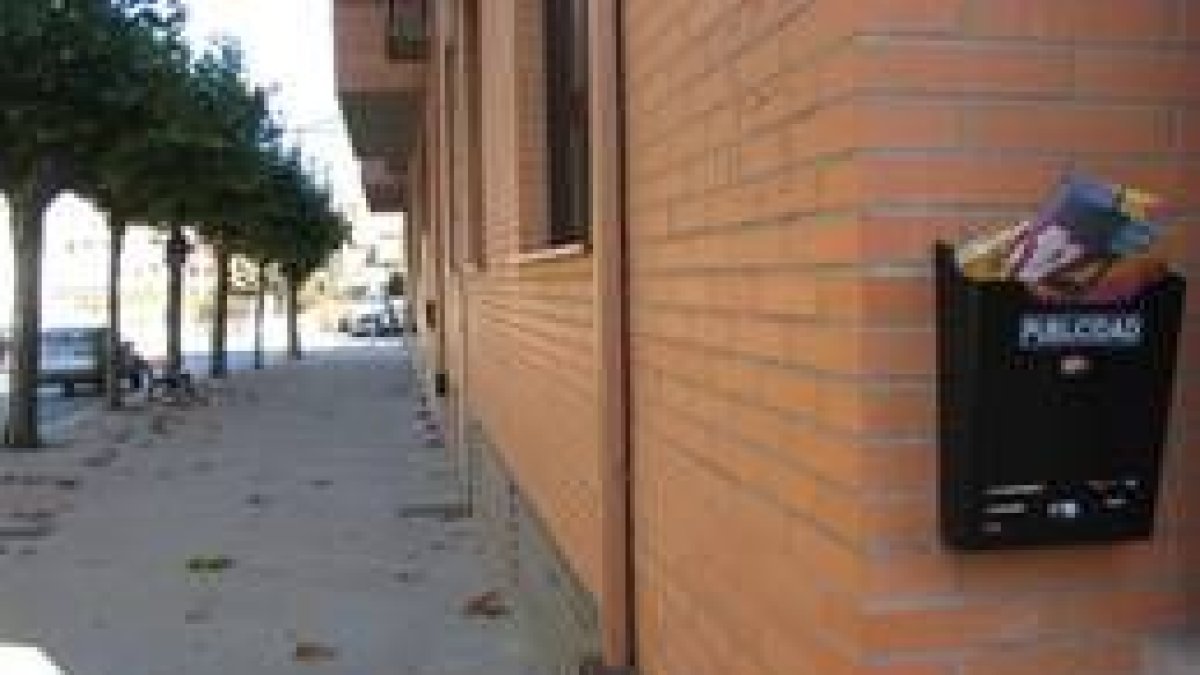 El equipo de gobierno estudia crear una ordenanza reguladora de la distribución de publicidad
