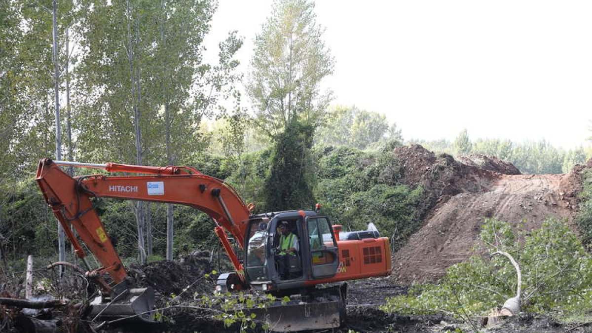 Una máquina paleadora removía ayer los terrenos junto al río, mientras talaban chopos