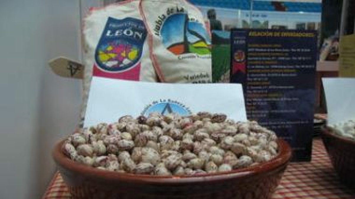 La alubia de La Bañeza es uno de los productos más señeros del sector agroalimenario leonés.