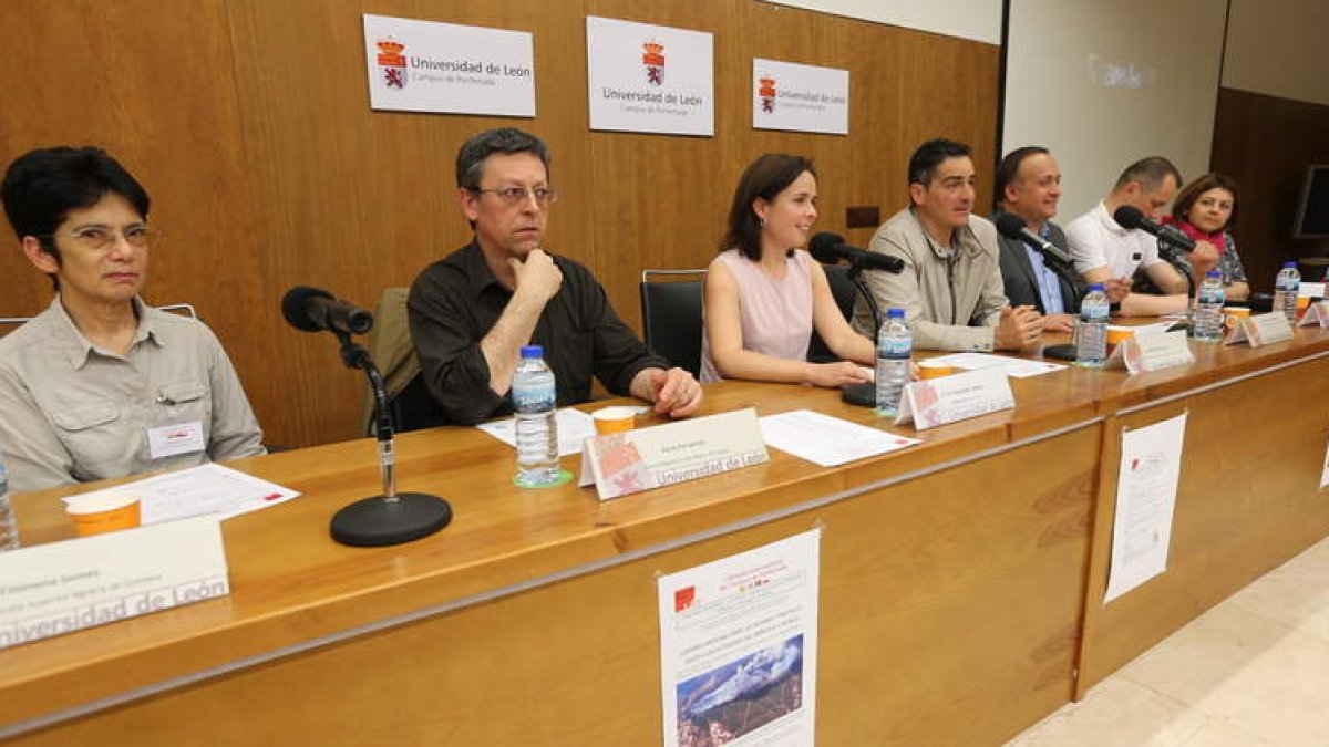 Profesores del programa, con Roberto Mendo y Geraro Álvarez Coruel en el centro. L. DE LA MATA