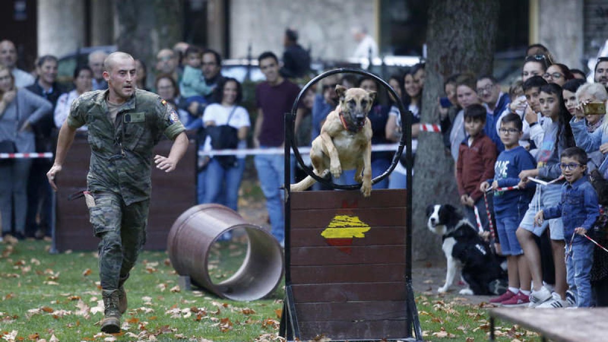 Un momento de la exhibición canina del Ejército de Tierra. FERNANDO OTERO