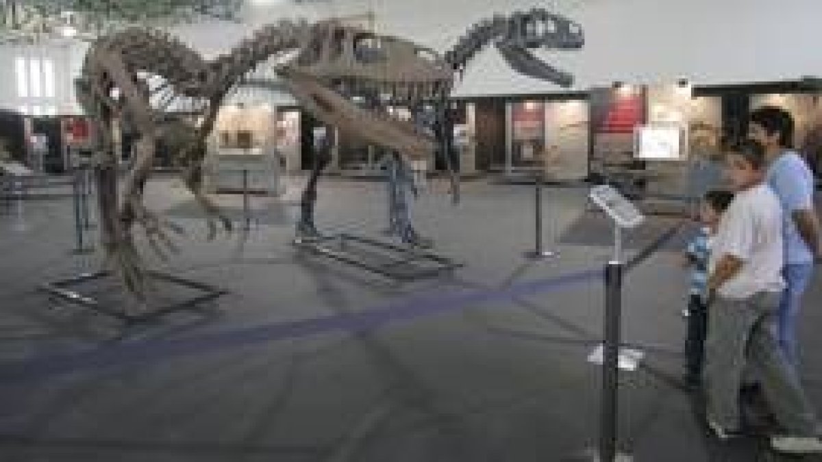 Una imagen de uno de los dinosaurios de la exposición de Cacabelos