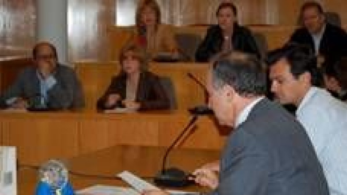 Un momento de la celebración del pleno extraordinario